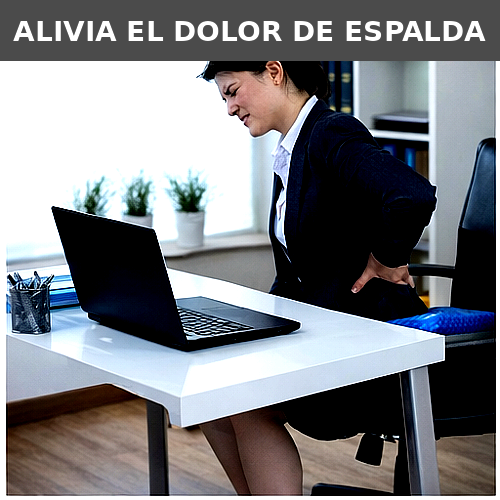 Cojín Gel Ergonómico OrthoSeat™